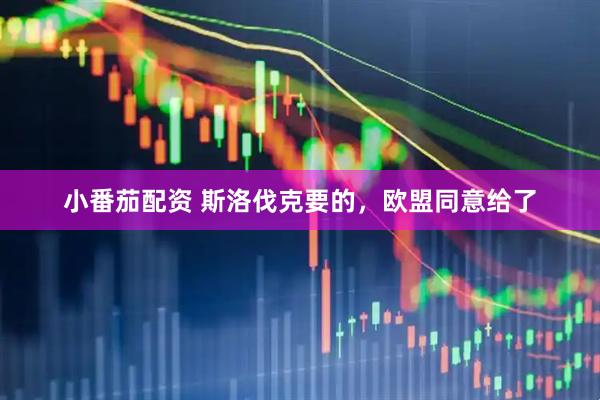 小番茄配资 斯洛伐克要的，欧盟同意给了