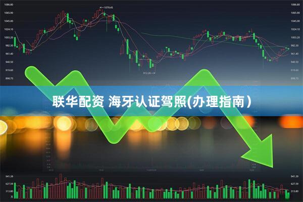 联华配资 海牙认证驾照(办理指南）