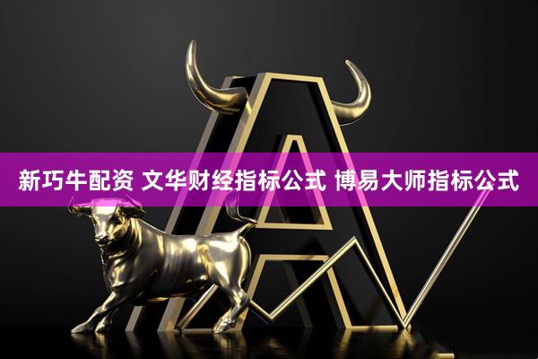 新巧牛配资 文华财经指标公式 博易大师指标公式