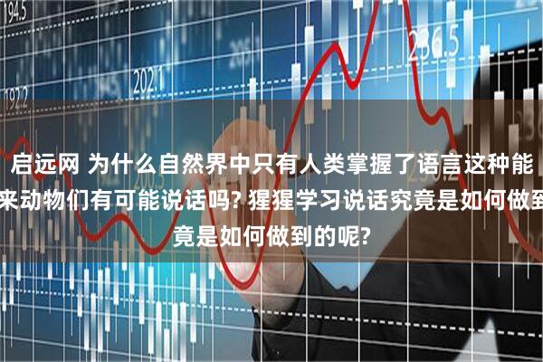 启远网 为什么自然界中只有人类掌握了语言这种能力? 未来动物们有可能说话吗? 猩猩学习说话究竟是如何做到的呢?