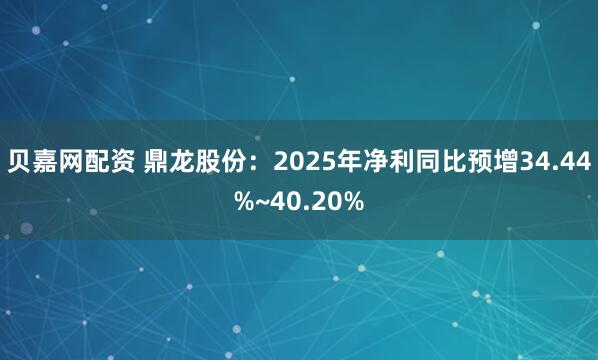 贝嘉网配资 鼎龙股份：2025年净利同比预增34.44%~40.20%